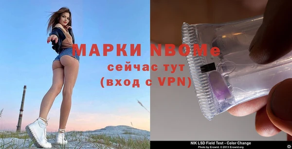 стафф Анива