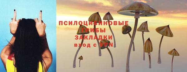герыч Мегион