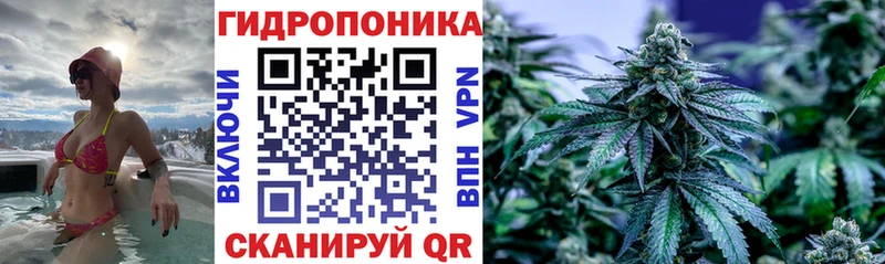 Бошки марихуана ГИДРОПОН Чёрмоз